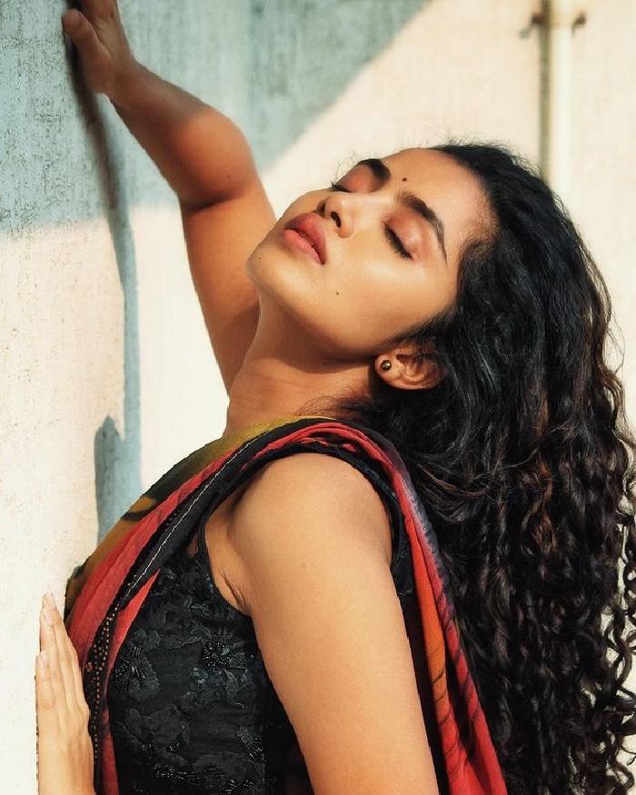 anupama parameswaran_teluguvox17